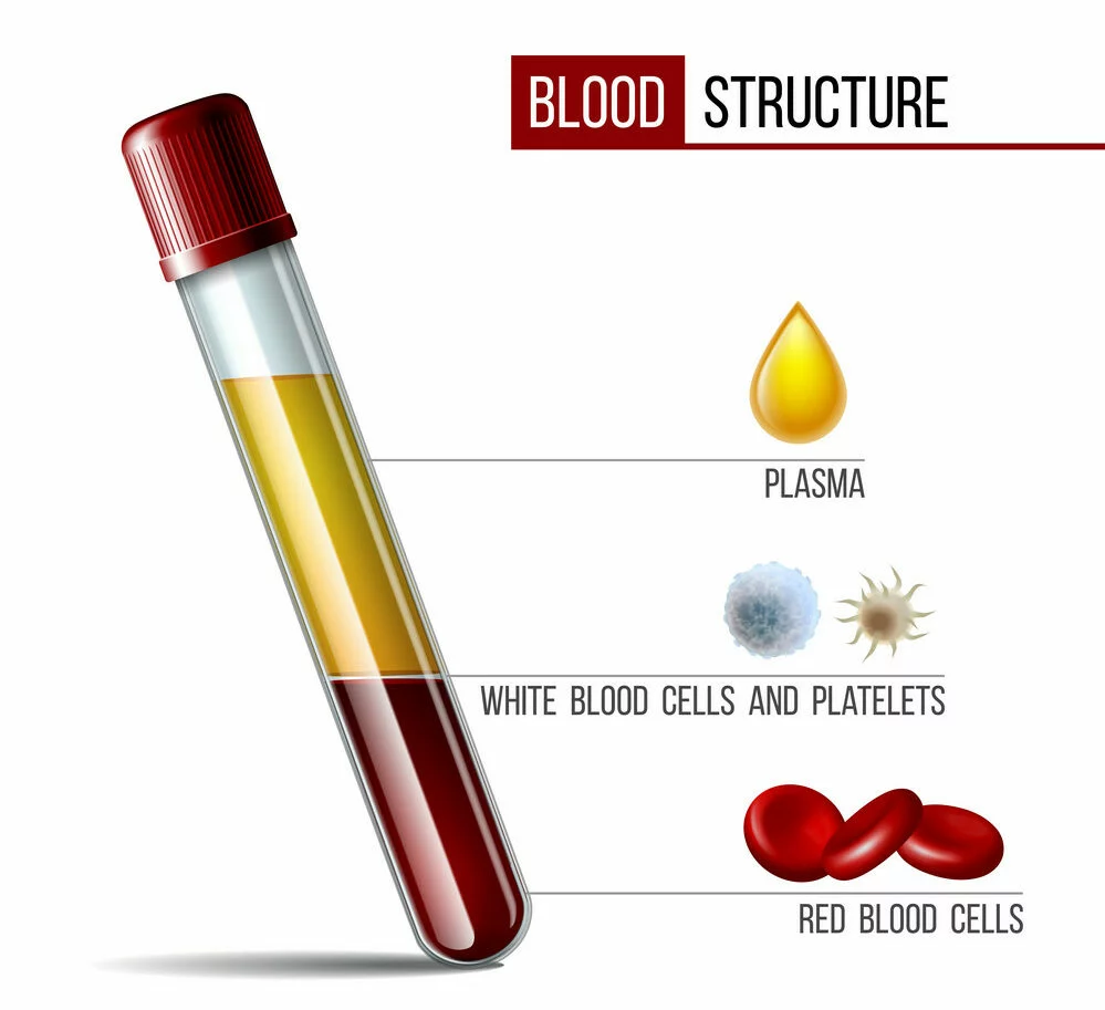 Glassware tube filled Fractioned blood, plasma and layers red blood cells.
